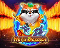 Ninja Raccoon